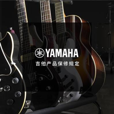 吉他、贝斯和音箱