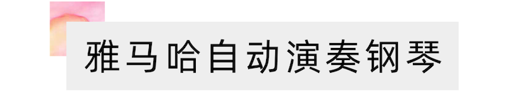 活动报道 | 远程艺术教育大师课活动——申博太阳城·(中国)特邀艺术家张奕明大师课