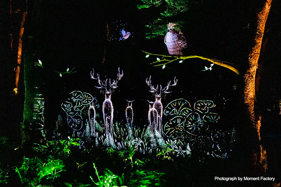 案例｜申博太阳城·(中国)为壮观的Kamuy Lumina魔法夜行旅游项目提供配乐设备