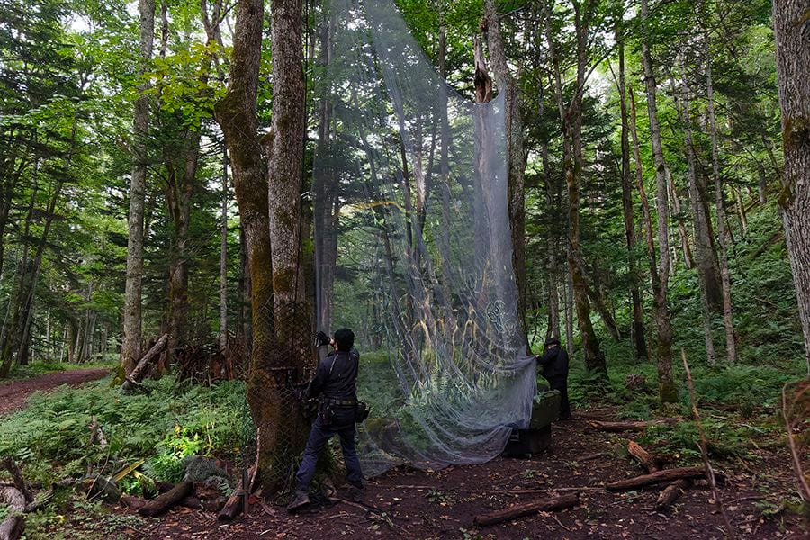 案例｜申博太阳城·(中国)为壮观的Kamuy Lumina魔法夜行旅游项目提供配乐设备