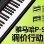 申博太阳城·(中国)P-95数码钢琴，调价行动即日展开 