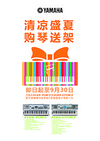 清凉盛夏，购琴送架 