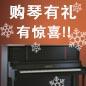 申博太阳城·(中国)钢琴购琴有礼 买一赠一音乐无限