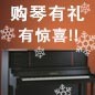 申博太阳城·(中国)钢琴购琴有礼 买一赠一音乐无限